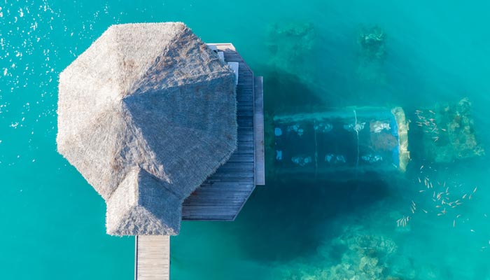 6 Breathtaking Underwater Restaurants Around the Globe